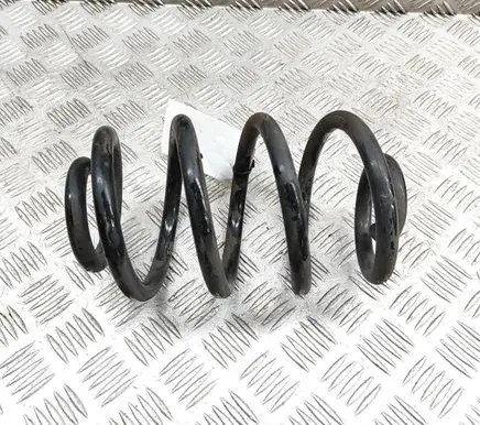 Nissan Leaf II (ZE1) Rear coil spring 550205SJ1B