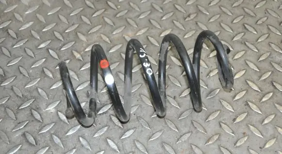 Nissan Juke I F15 Rear coil spring