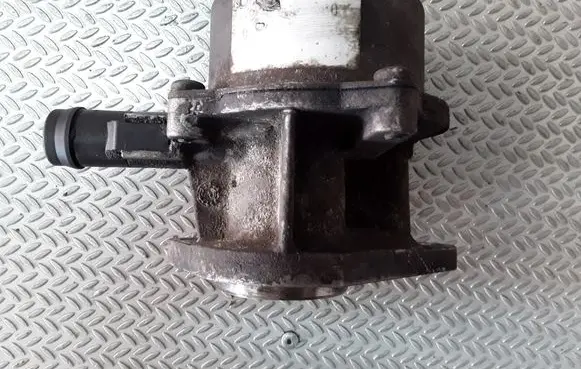 Renault Kangoo I Vacuum pump
