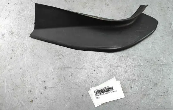Rear/tail light trim molding