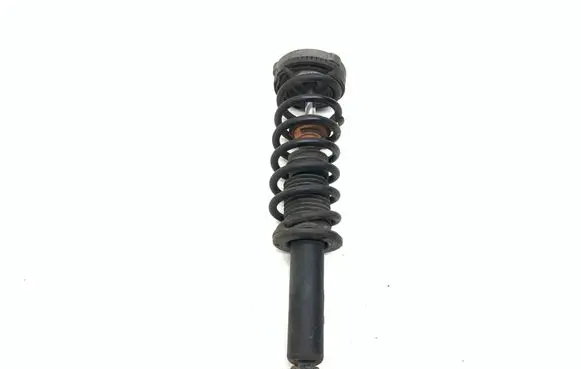 BMW X3 F25 Rear shock absorber/damper 6796317 6796317E04