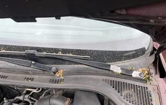 Skoda Rapid (NH) Front wiper blade arm 
