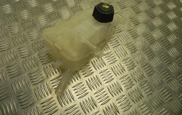 Renault Scenic III - Grand scenic III Coolant expansion tank/reservoir 217100005R VD14171