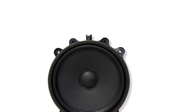 Tesla Model 3 Front door speaker 107974400E