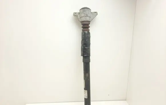 Audi A5 8T 8F Rear shock absorber/damper 814902002956 313365 30H54A