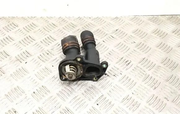 Thermostat/thermostat housing