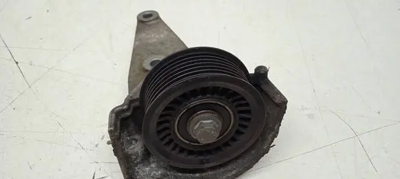 Renault Scenic III - Grand scenic III Alternator belt tensioner pulley 