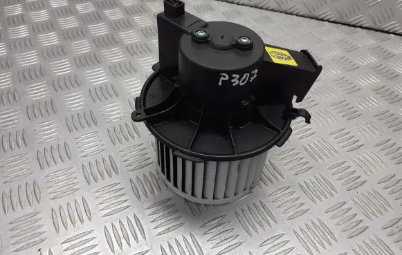 Peugeot 307 Front door blower motor 593220400