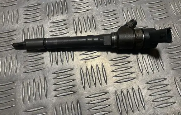 Hyundai Santa Fe Fuel injector 0445110064 3380027010