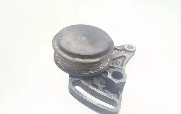 Volkswagen PASSAT B5.5 Air conditioning tensioner 058260511