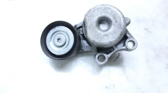 Jeep Grand Cherokee Generator/alternator belt tensioner E6631A111040D