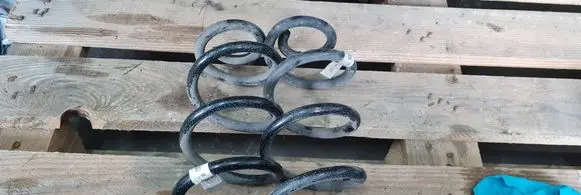 Rear coil spring