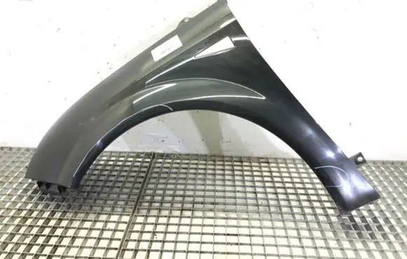 Renault Scenic II - Grand scenic II Fender