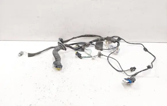 Renault Espace - Grand espace IV Rear door wiring loom 8200517597 00198