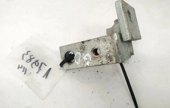 Rear door lower hinge