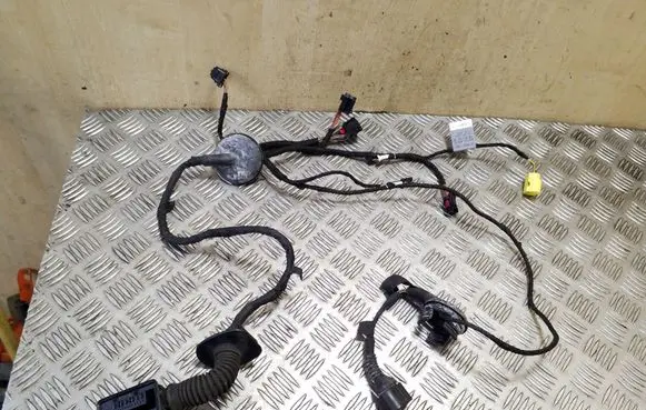 Front door wiring loom