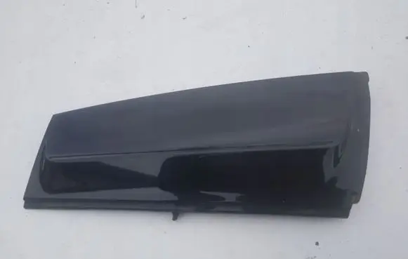 Rear door trim (molding)