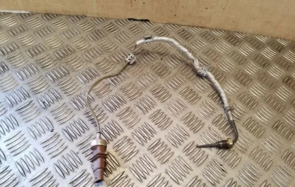 Porsche Macan (95B) Exhaust gas temperature sensor 95B919529C