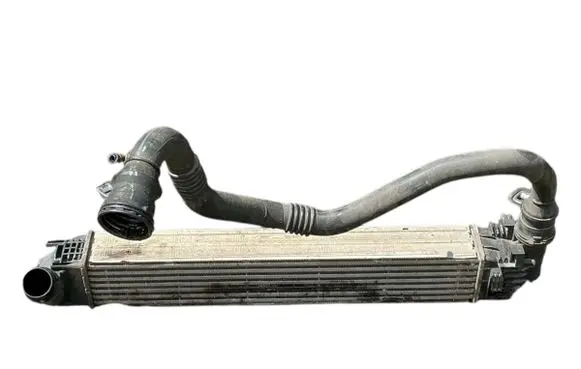 Dacia Duster Intercooler radiator 8200880552B