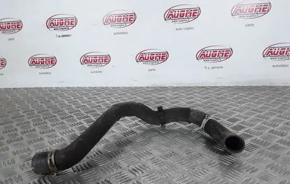 Mercedes-Benz B W245 Engine coolant pipe/hose 1695011182