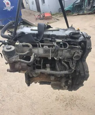 Nissan Almera Tino Engine
