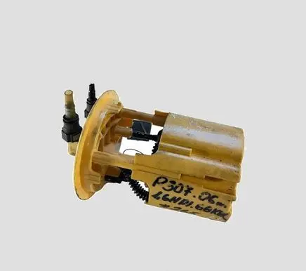 Peugeot 307 Fuel level sensor 1490372080 221824085004