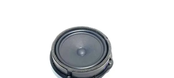 Front door speaker