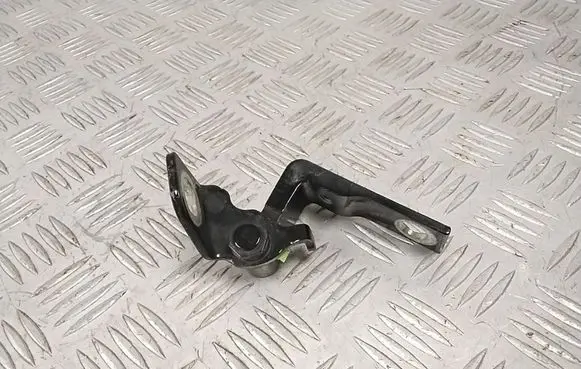 Ford Mach-E I Rear door lower hinge