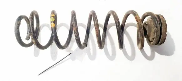 Rear coil spring