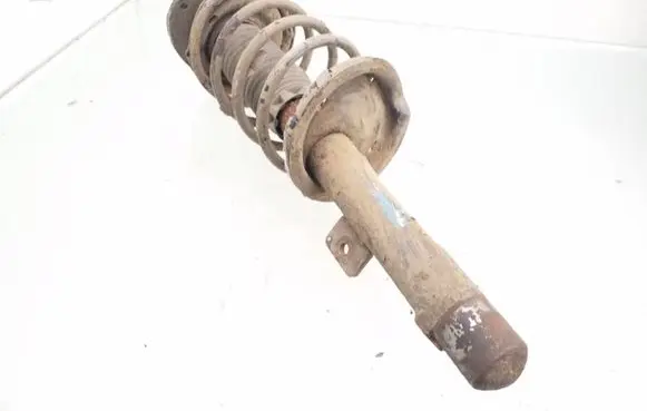 Peugeot 206 Front shock absorber with coil spring