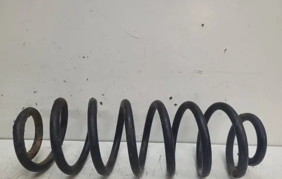 Volkswagen PASSAT B6 Rear coil spring
