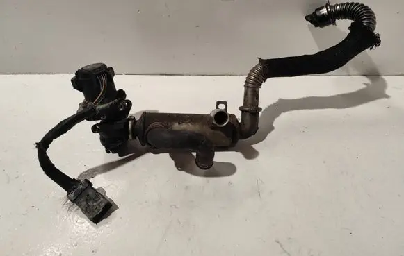 Ford Focus EGR valve 9654818180 215989528