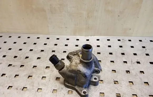 Thermostat/thermostat housing