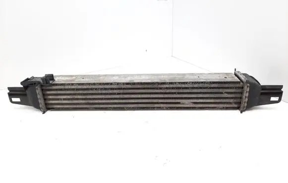 Citroen Nemo Intercooler radiator 51790623