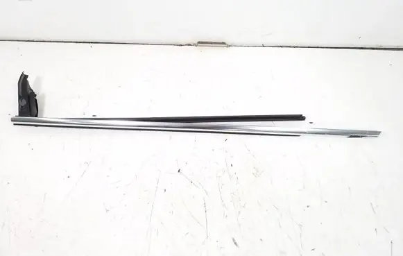 Mercedes-Benz CL C216 Front door glass trim molding A2166900180