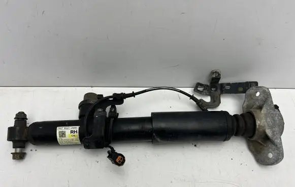 KIA Stinger Rear shock absorber/damper 55301J5050