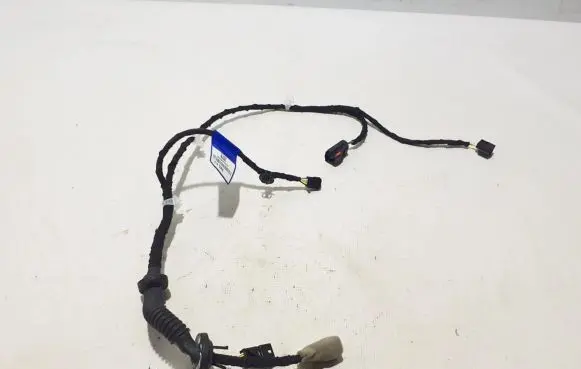 Dacia Spring Other wiring loom 241244627R