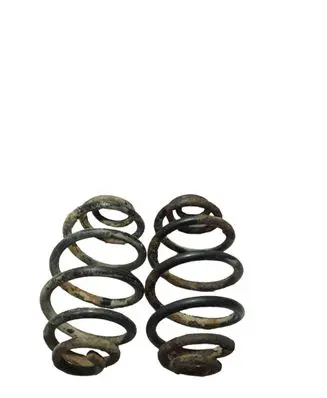 Volkswagen PASSAT B5.5 Rear coil spring