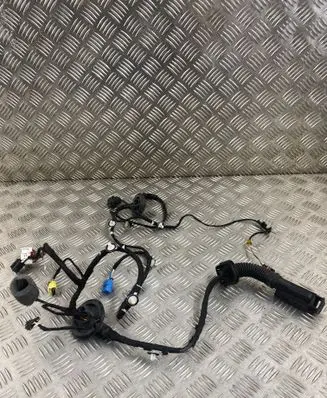 Other wiring loom