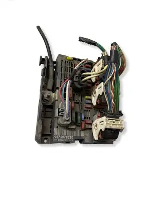 Citroen Berlingo Fuse module 9675878280