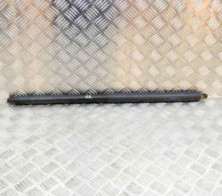Tesla Model S Tailgate/trunk strut/damper 600661100B