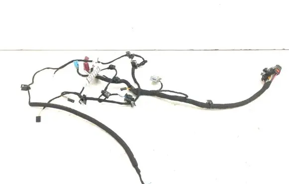 Maserati Ghibli Front door wiring loom 06700086120