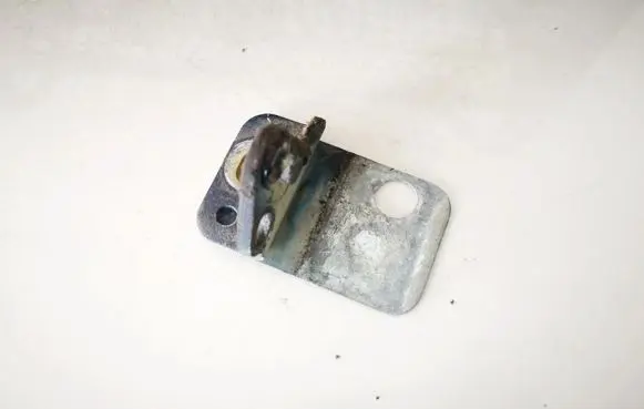 Audi A4 S4 B6 8E 8H Rear door lower hinge