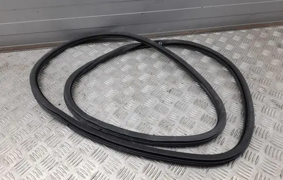 Porsche Panamera (970) Front door rubber seal 97053726601