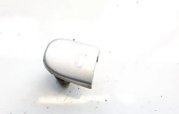 Volkswagen PASSAT B5 Loading door cover/cap 3B4839167