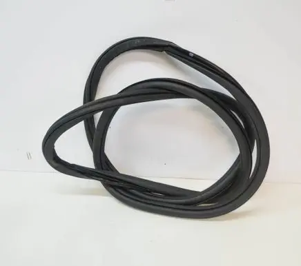 Volkswagen Tiguan Rubber seal rear door 5NA867913B