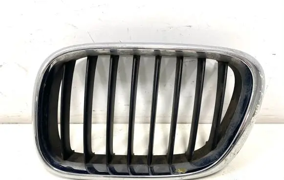 BMW X5 E53 Front bumper upper radiator grill 8247673