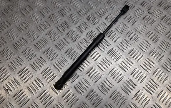 Ford Mustang VI Tailgate/trunk strut/damper FR3B63406A10BB