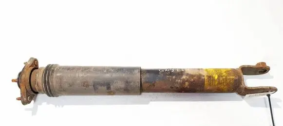 Cadillac SRX Rear shock absorber/damper 21992495
