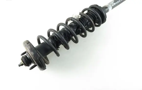 Honda Accord Rear shock absorber with coil spring 